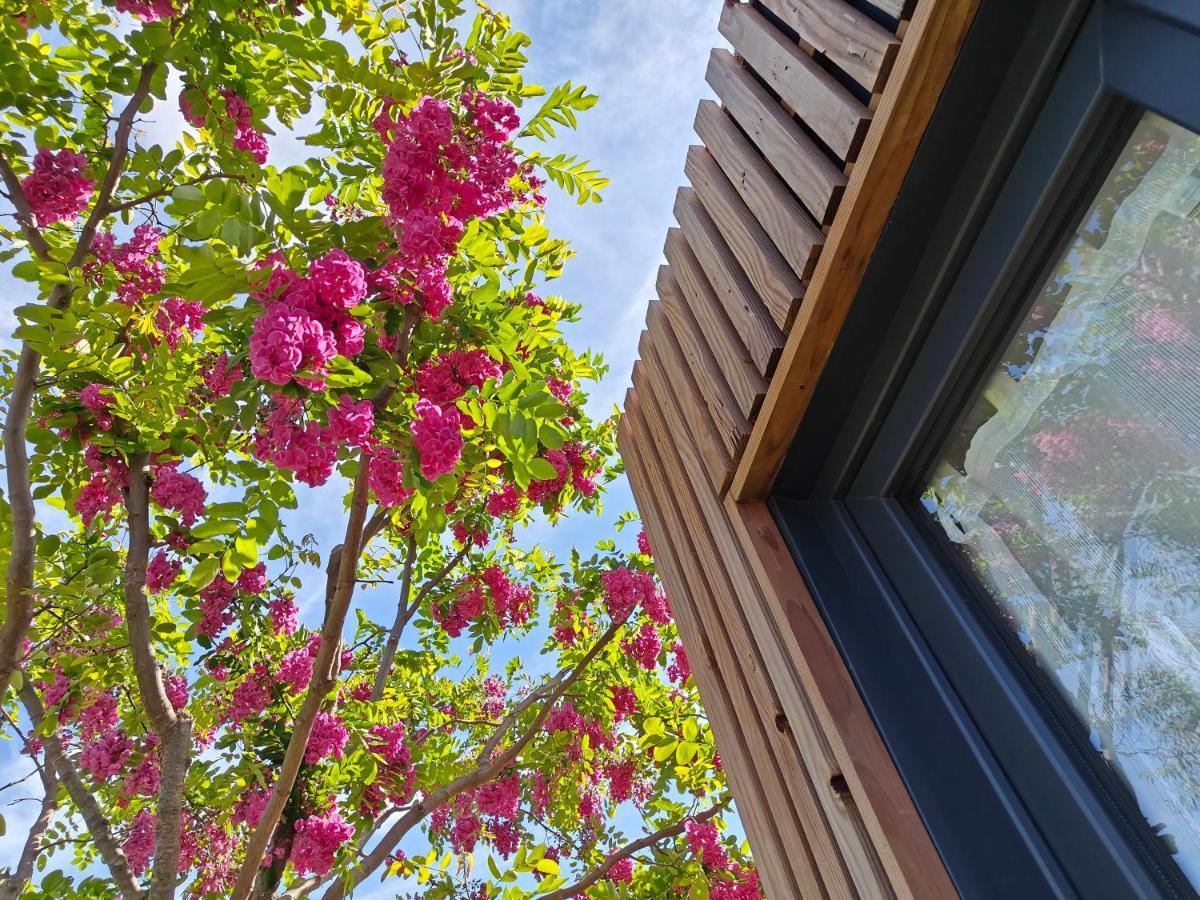 La Cabane De Lili Prune Goudargues Exterior foto